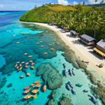 **

"A vibrant underwater scene showcasing a healthy Fijian coral reef teeming with colorful fish and marine life. Above, a drone flies overhead, capturing data for reef monitoring. In the background, a traditional Fijian village is visible along the coastline, symbolizing the community's connection to the ocean."

**